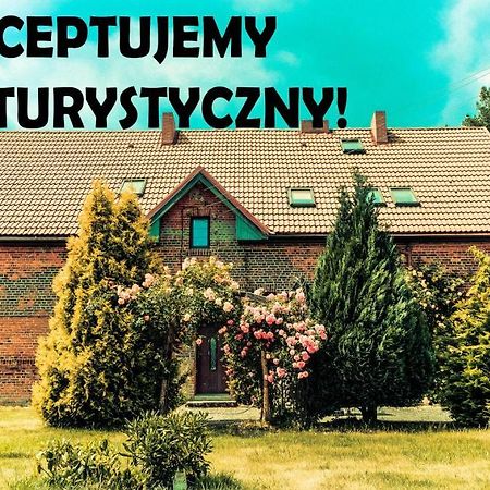 Chata Na Koncu Swiata Czaplin Maly Екстер'єр фото